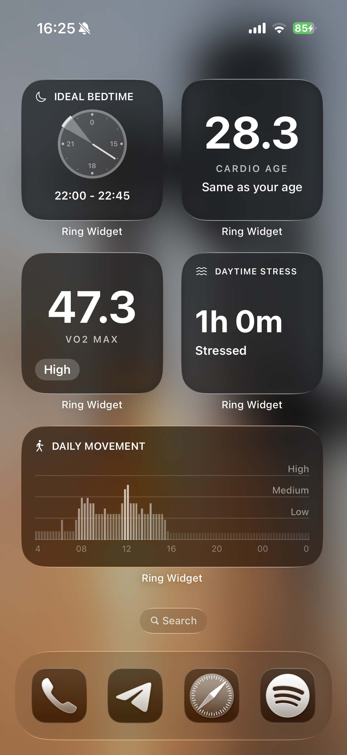 Ring Widget preview